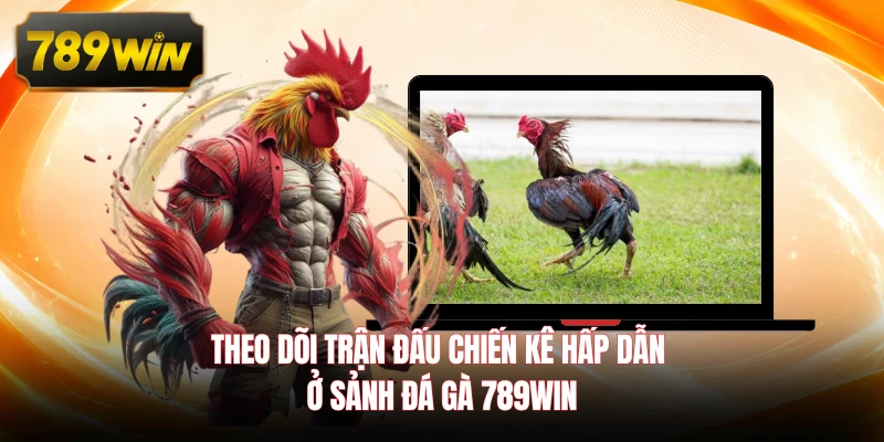 Theo dõi trận đấu chiến kê hấp dẫn ở sảnh đá gà 789WIN